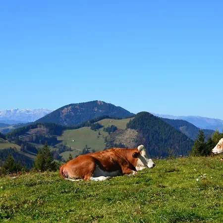 Σπίτι διακοπών Moarhofstoeckl Weiz