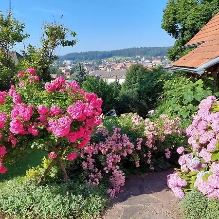 Casa de Férias Moarhofstoeckl Weiz