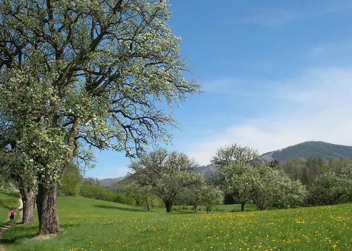 Semesterbostad Moarhofstoeckl Weiz