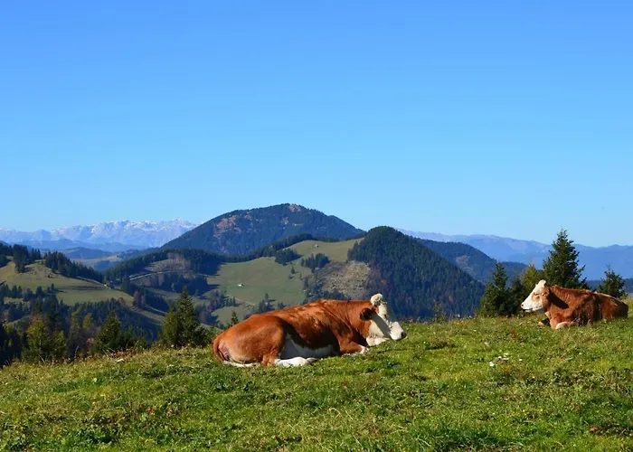 بيت للعطل Moarhofstoeckl ويز