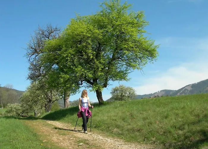 Moarhofstoeckl * 魏茨